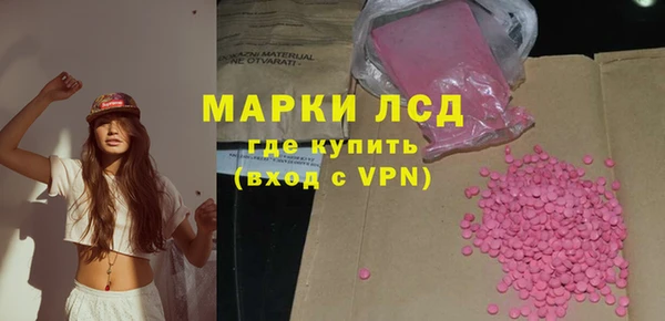 дмт Алзамай