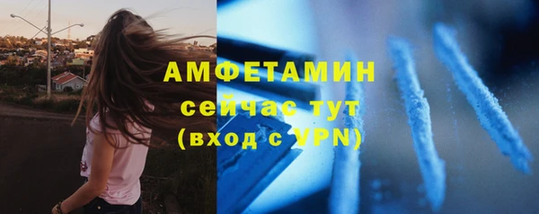 дмт Алзамай