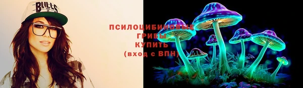 эйфоретик Алексин
